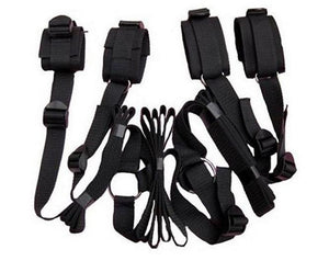 Under The Bed Restraint System