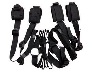 Under The Bed Restraint System